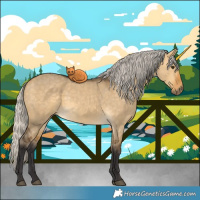 Horse Color:Silver Buckskin Dun