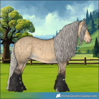 Horse Color:Silver Buckskin Dun 
