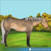 Horse Color:Silver Buckskin Dun 