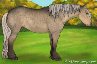 Horse Color:Silver Smoky Grullo 