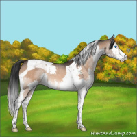 Horse Color:Brown Dun Splash Tobiano 