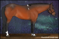 Horse Color:Bay Tobiano 