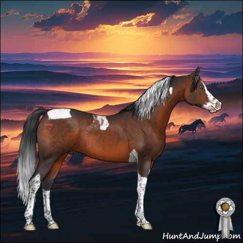 Horse Color:Brown Splash Tobiano Rabicano 