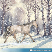 Horse Color:Chocolate Palomino Pearl Dun 