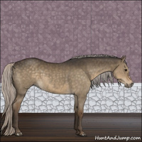 Horse Color:Silver Smoky Grullo 