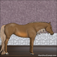 Horse Color:Chocolate Palomino 