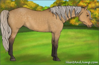 Horse Color:Silver Buckskin Dun 