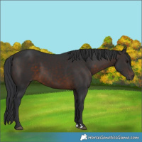 Horse Color:Brown 