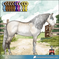 Horse Color:Gray White Spotted Silver Buckskin Pearl Dun Tobiano 