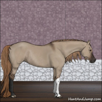Horse Color:Liver Red Dun Rabicano 