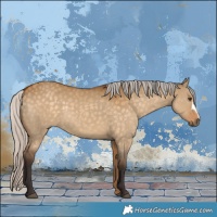 Horse Color:Silver Buckskin Dun