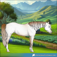 Horse Color:Gray Buckskin Pearl Dun Tobiano 