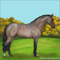 Horse Color:Brown Roan