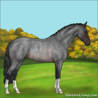 Horse Color:Brown Roan Rabicano