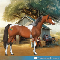 Horse Color:Bay Tobiano Rabicano 