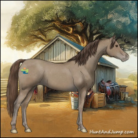 Horse Color:Classic Champagne Appaloosa 