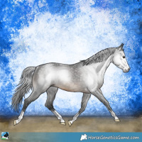 Horse Color:Gray Brown Sabino Rabicano 