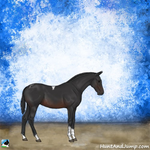 Horse Color:Brown Tobiano Rabicano 