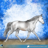 Horse Color:Gray Brown Tobiano Rabicano 