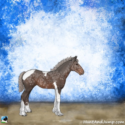 Horse Color:Silver Black Ice Sabino Tobiano 