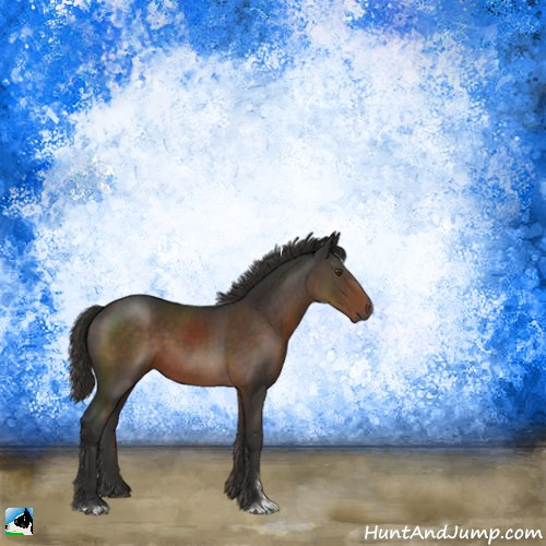 Horse Color:Liver Chestnut Sabino 