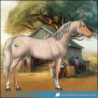 Horse Color:Red Roan Tobiano 