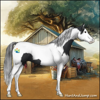 Horse Color:Black Splash Tobiano 