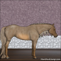 Horse Color:Chocolate Palomino Roan 