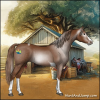 Horse Color:Gray Chestnut Splash Tobiano 