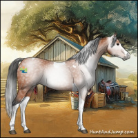 Horse Color:Gray Bay Splash Tobiano 