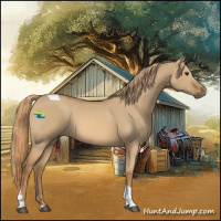 Horse Color:Red Dun Tobiano 