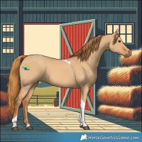 Horse Color:Red Dun Tobiano 