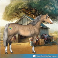 Horse Color:Silver Buckskin Dun 