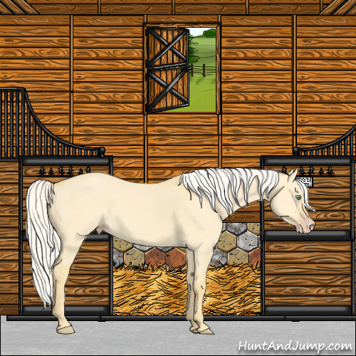 Horse Color:Silver Amber Cream Champagne Dun 