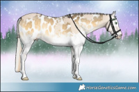 Horse Color:Smoky Creme Onyx  and White Spotted Silver Buckskin Onyx Near Leopard 