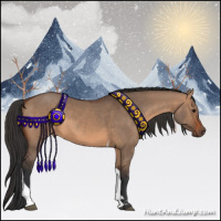 Horse Color:Brown Dun Sabino Tobiano Rabicano 