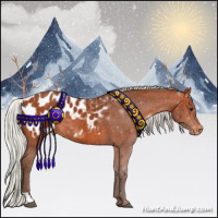 Horse Color:Silver Bay Appaloosa Rabicano 