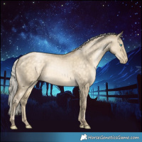 Horse Color:Silver Buckskin Pearl Dun 