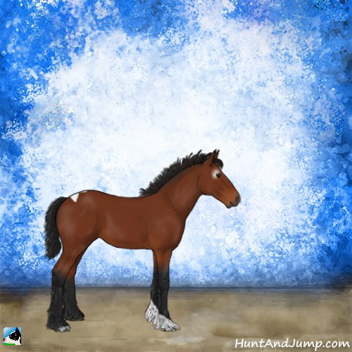 Horse Color:Gray Brown Tobiano Rabicano 