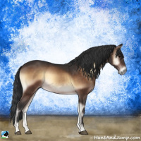 Horse Color:Brown Onyx 