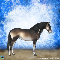 Horse Color:Brown Onyx