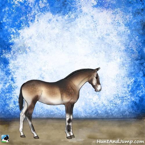 Horse Color:Brown Onyx 