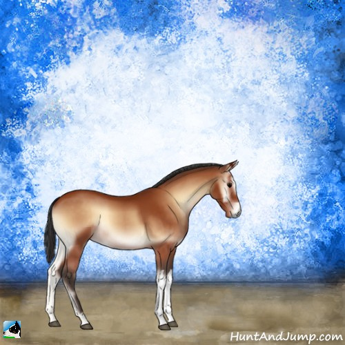 Horse Color:Bay Onyx 