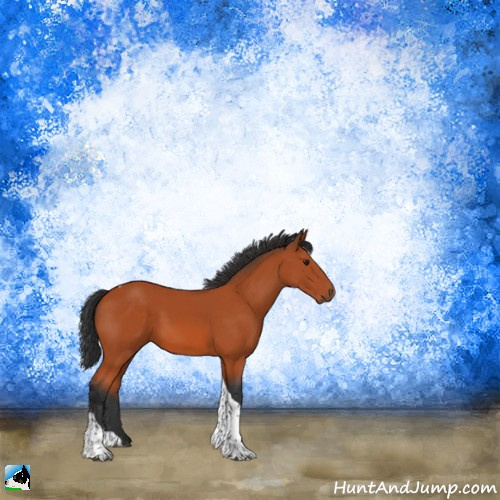 Horse Color:Brown Tobiano Rabicano 