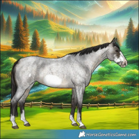 Horse Color:Buckskin Roan Sabino Frame 