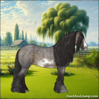 Horse Color:Buckskin Roan Sabino Frame 