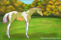 Horse Color:Watercolor Bay Tobiano 
