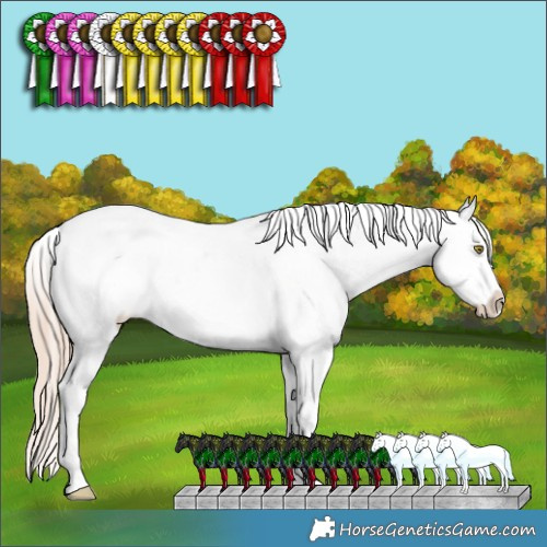 Horse Color:Gold Champagne Ice Sabino Splash Tobiano Appaloosa Rabicano 