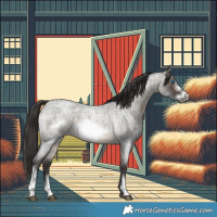 Horse Color:Buckskin Roan Sabino Frame 