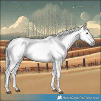 Horse Color:Gray Buckskin Roan Sabino Frame 